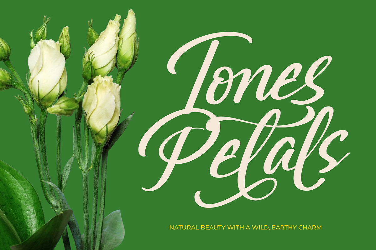 Greatesa Brought Bold Calligraphy, a Script Font by Letterena Studios Script (Photo 9 of 20)