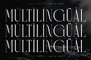 Meorgine Display Serif Font, a Serif Font by Storytype Studio (Thumbnail 12 of 15)