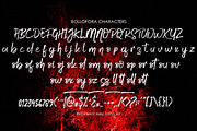 Bollofora - Brush Font, a Script Font by Akifatype. (Thumbnail 6 of 6)