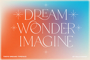 Tokyo Dreams Display Ligature Serif