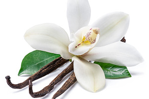 Dried vanilla sticks orchid, a Food & Drink Photo by Volff