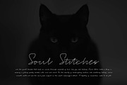 Tulisha | Monoline & Brush Script, a Script Font by Jadatype.id (Thumbnail 4 of 7)