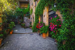 Entrances decorated with flowers, an Architecture Photo by Alpine Dreams