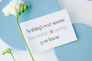 Assignate - Elegant Display Serif, a Script Font by RockboyStd (Thumbnail 6 of 12)