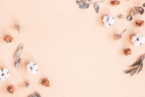 Autumn flowers containing flower, beige, and cotton