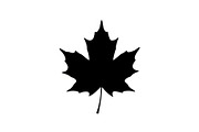 Maple Leaf Silhouette Bundle, a Graphic by musafir_fashion (Thumbnail 4 of 10)