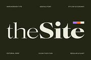 Gestalo - Elegant Family Serif, a Serif Font by Marvadesign (Thumbnail 3 of 10)