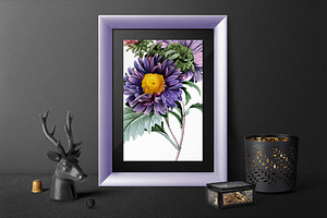 Flowers Aster Purple Clipart Vintage