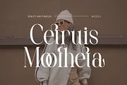 Qastic Estoda - Elegant Serif Font, a Serif Font by Aqeel_Art (Thumbnail 4 of 12)