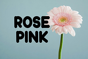 Baby Boho, a Sans Serif Font by FreshTypeINK (Thumbnail 7 of 8)