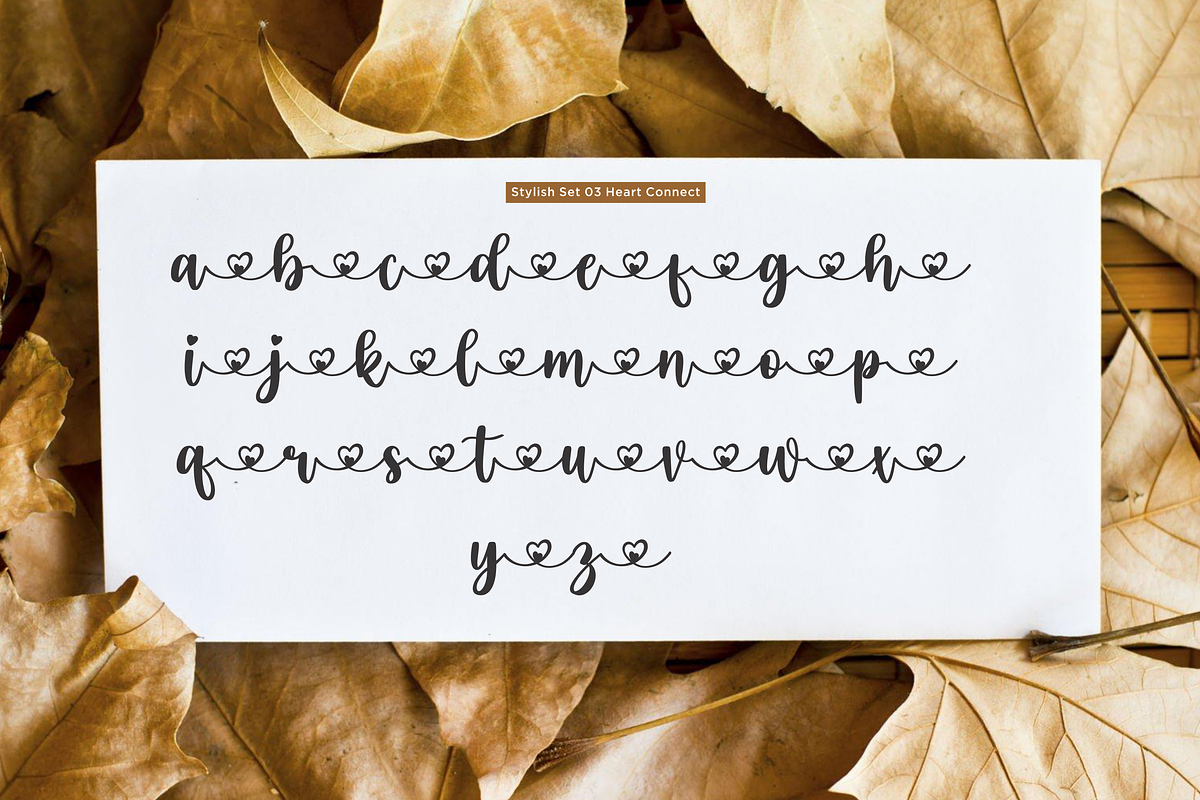 Eilysa Luise, a Script Font by Essentials Studio (Photo 9 of 11)