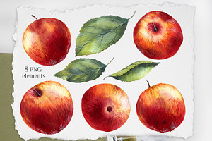 Apple Watercolor Clipart