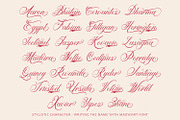 Madwort - Elegant Script Font, a Script Font by Arendxstudio (Thumbnail 4 of 12)