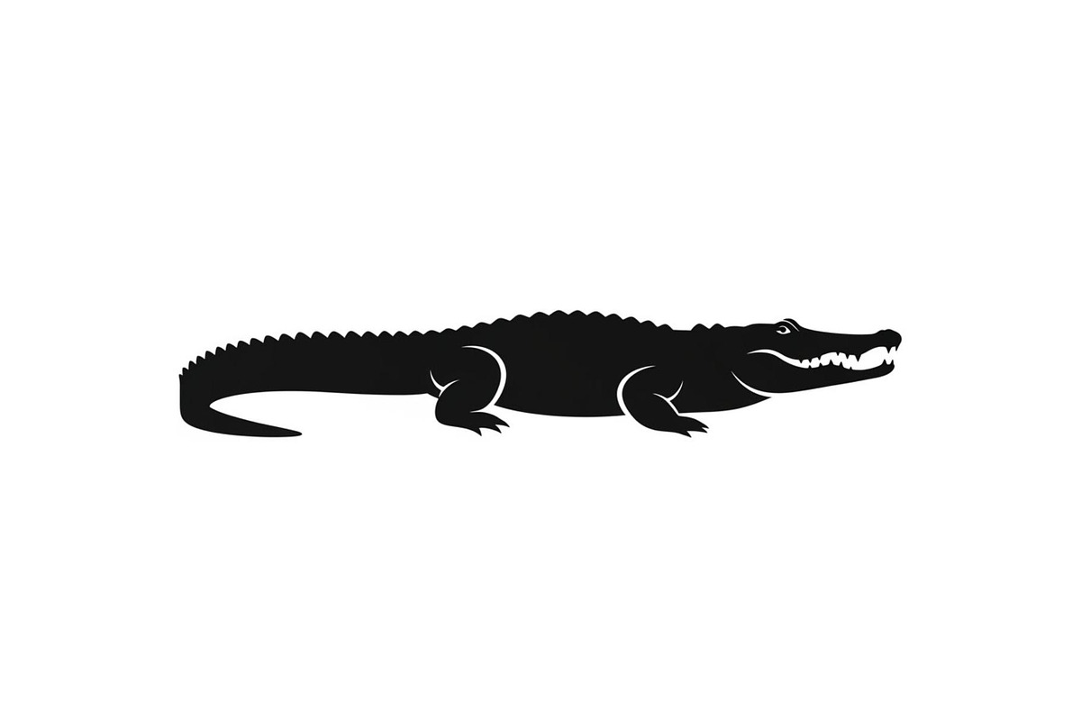 Crocodile Alligator Vector Bundle, an Illustration by jahid234 (Photo 10 of 51)