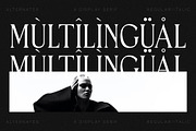 Horge A Display Serif Font, a Serif Font by Storytype Studio (Thumbnail 13 of 16)