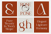 Roviane Modern Serif Font, a Serif Font by Rasio Studio (Thumbnail 4 of 9)