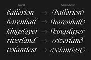 Darkslide - Elegant Display Serif, a Font by Swandtype (Thumbnail 4 of 9)