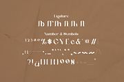 Geyster Modern/Vintage Font, a Serif Font by Lettertype Studio (Thumbnail 9 of 10)