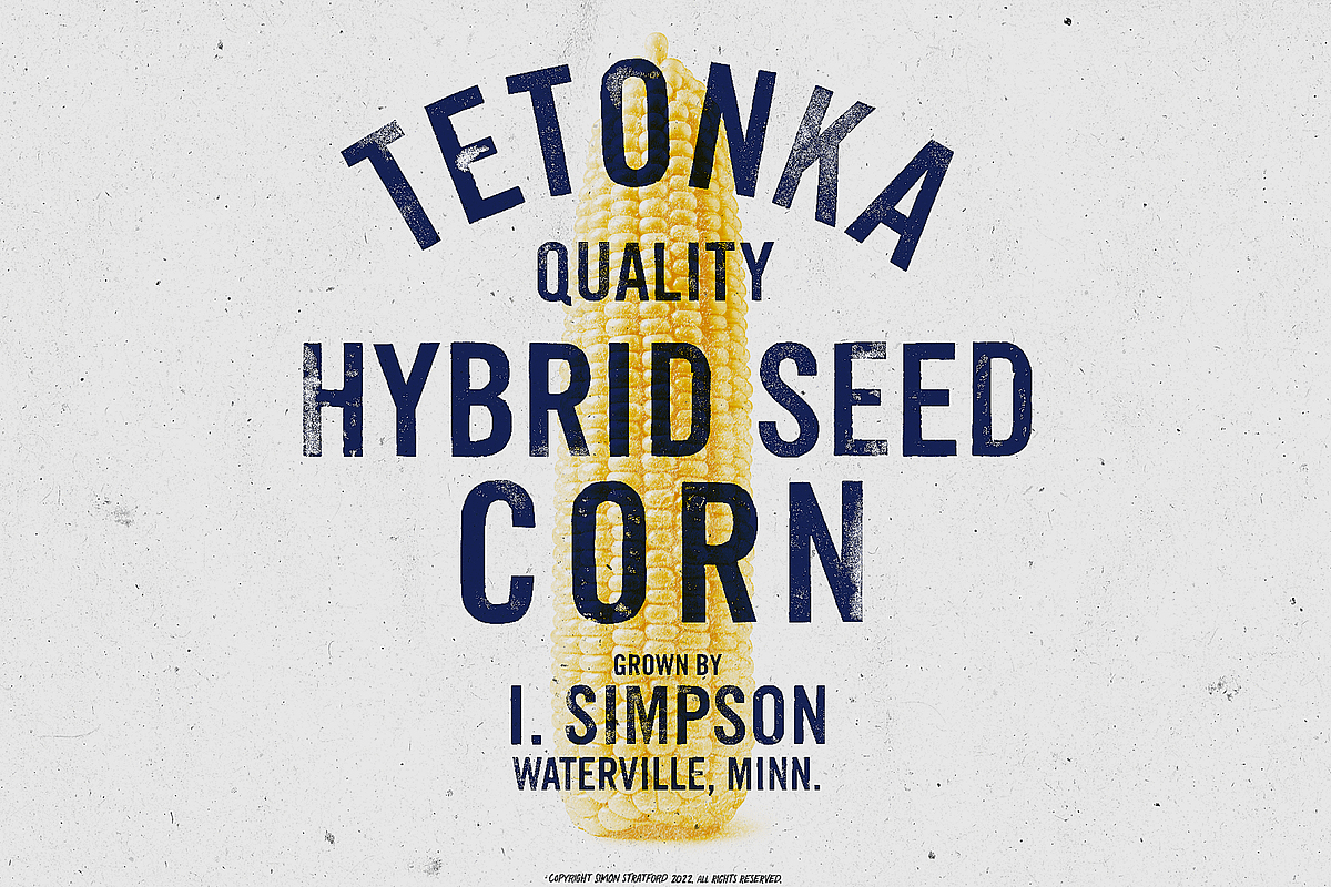 Display Font Lino Gothic, a Sans Serif Font by Itsmesimon (Photo 9 of 23)