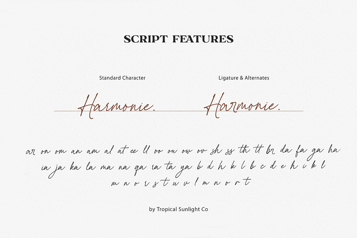 Harmonie Glamour - Modern Font Duo, a Serif Font by TropicalSunlightCo. (Photo 13 of 14)