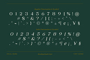 Heading South | Retro serif, a Serif Font by ClevUs (Thumbnail 13 of 14)