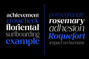 Costaline Font Family| Sale 40%, a Serif Font by Megatype (Thumbnail 4 of 15)
