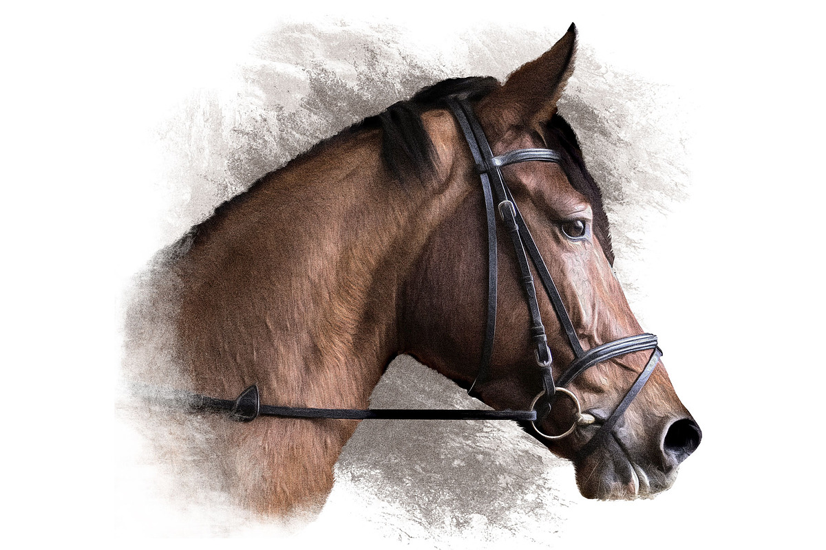 Portrait of a Horse II, an Animal Illustration by Digital Art Downloads (Photo 2 of 4)