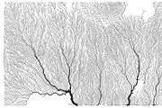 Growth - 50 Backgrounds, a Texture Graphic by GarryKillian (Thumbnail 43 of 51)