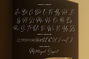 Wollonita, a Script Font by Essentials Studio (Thumbnail 4 of 5)