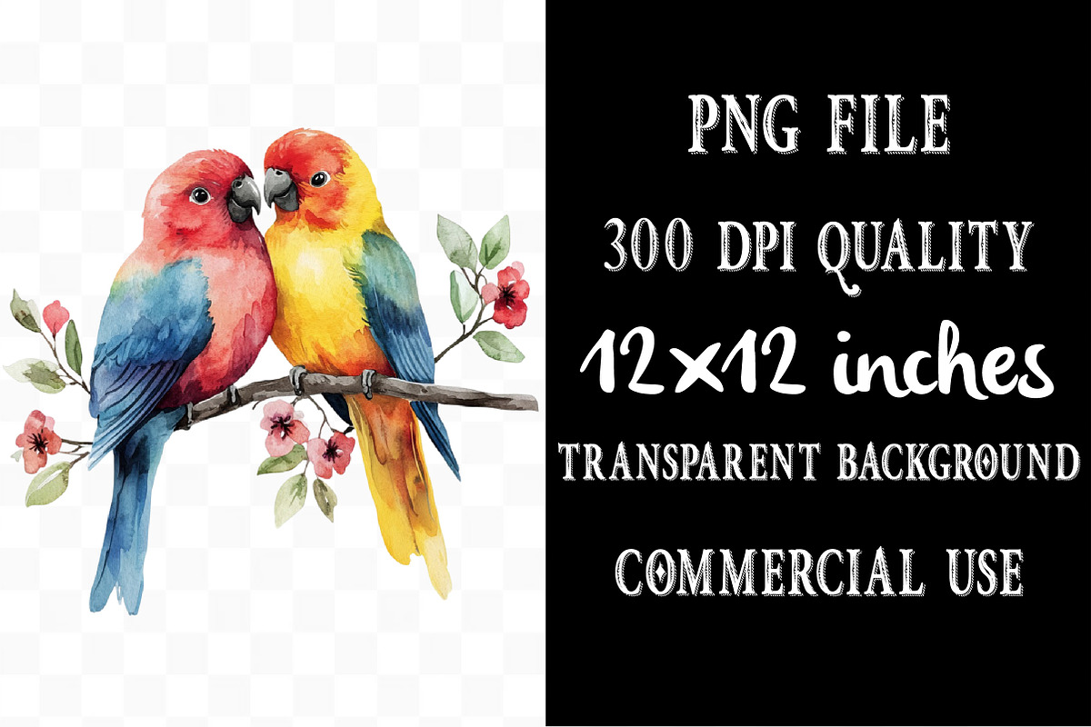 Watercolor Birds Png Bundle, an Illustration by Designking (Photo 4 of 5)