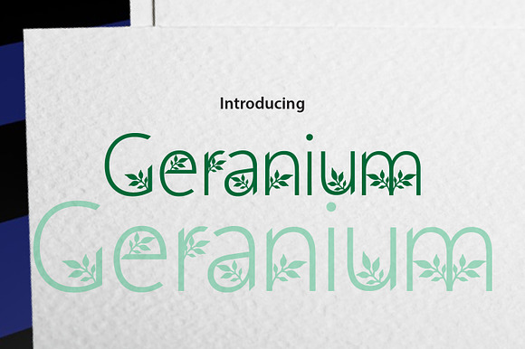 Geranium preview 8