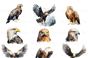 Watercolor Eagle Clipart, American