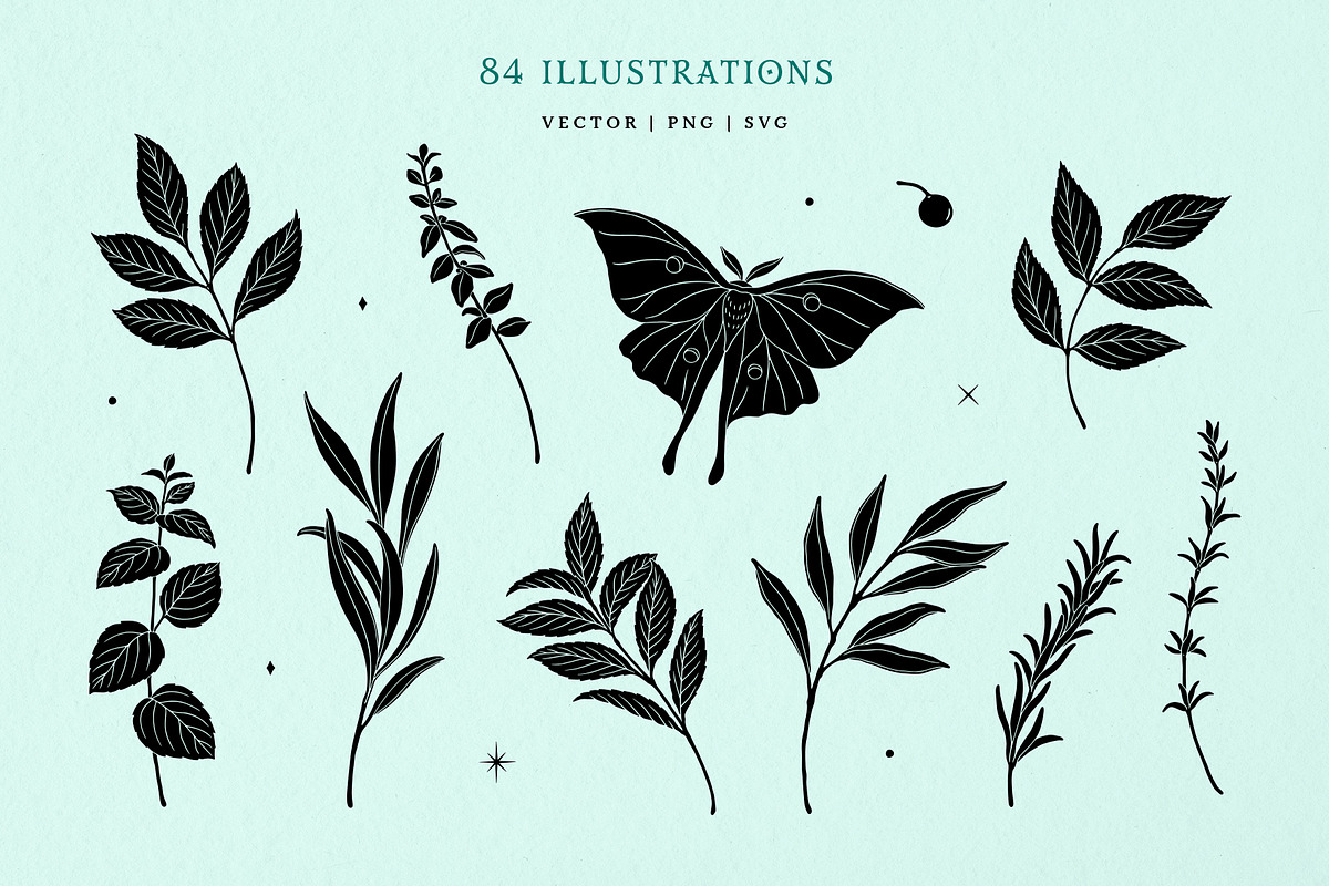 Mystic Garden Vector Illustrations, a Seasonal Illustration by rouxsupplyco (Photo 5 of 11)