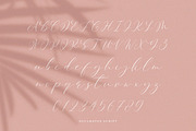 NEW Soulmates Script Font, a Script Font by Salt & Pepper Designs (Thumbnail 10 of 12)