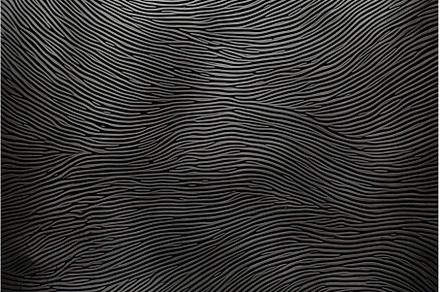 Intricate Fingerprint colorful, a Technology Photo by Ylivdesign
