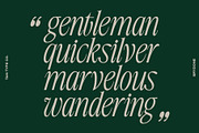 TAN-BRYDONE, a Font by TanType (Thumbnail 12 of 16)