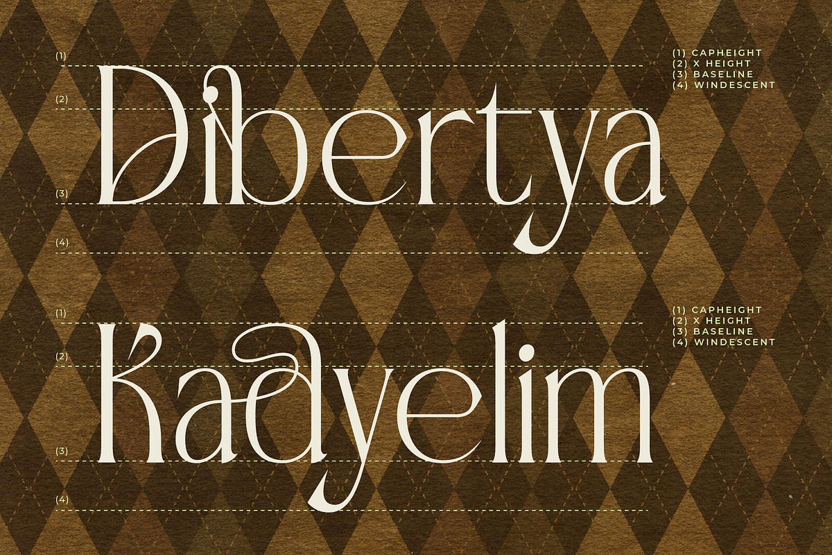 Badgeils Modern Alternate Serif, a Serif Font by timelesstype.co (Photo 15 of 20)