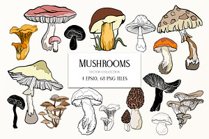 Mushrooms - vector clipart