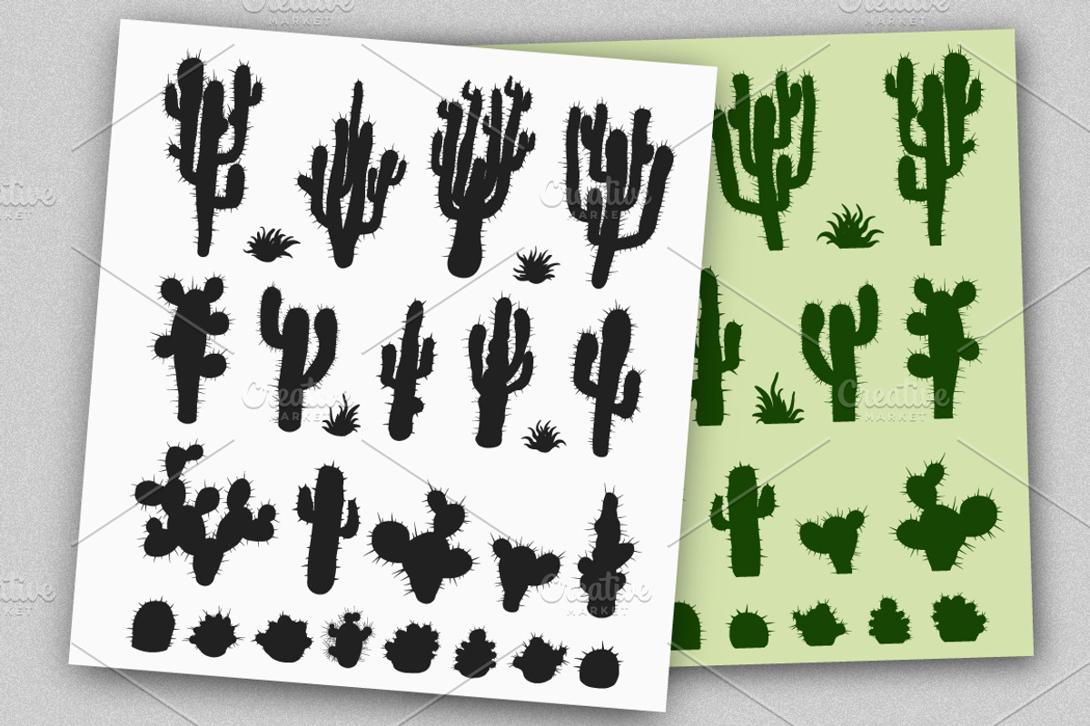 Vector Cacti & Succulents Set, an Object Illustration by MSA-Graphics (Photo 4 of 6)