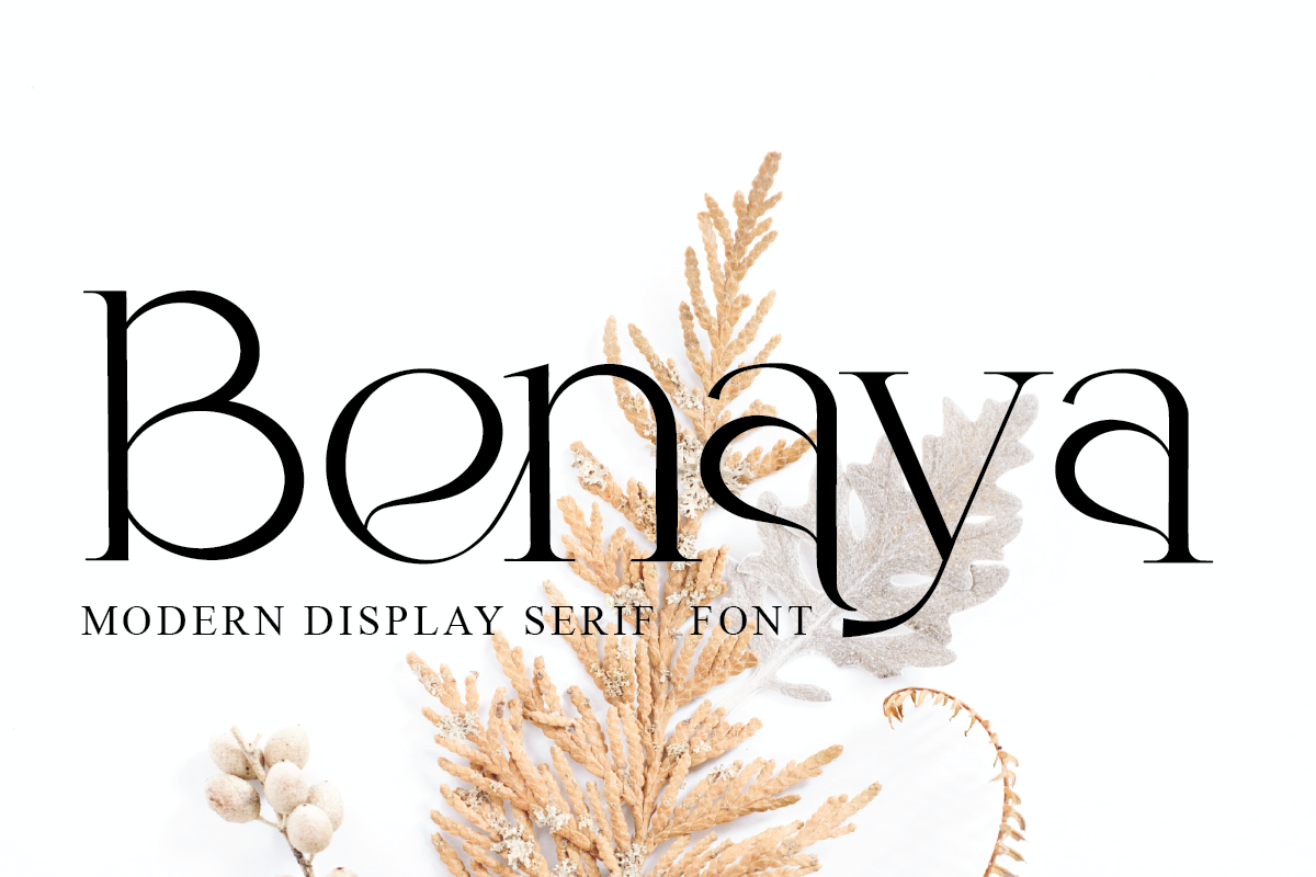 The Modern Elegant Font Bundle, a Serif Font by Muksal Creative