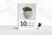 eCourse Workbook Template, a Brochure Template by TMint Play