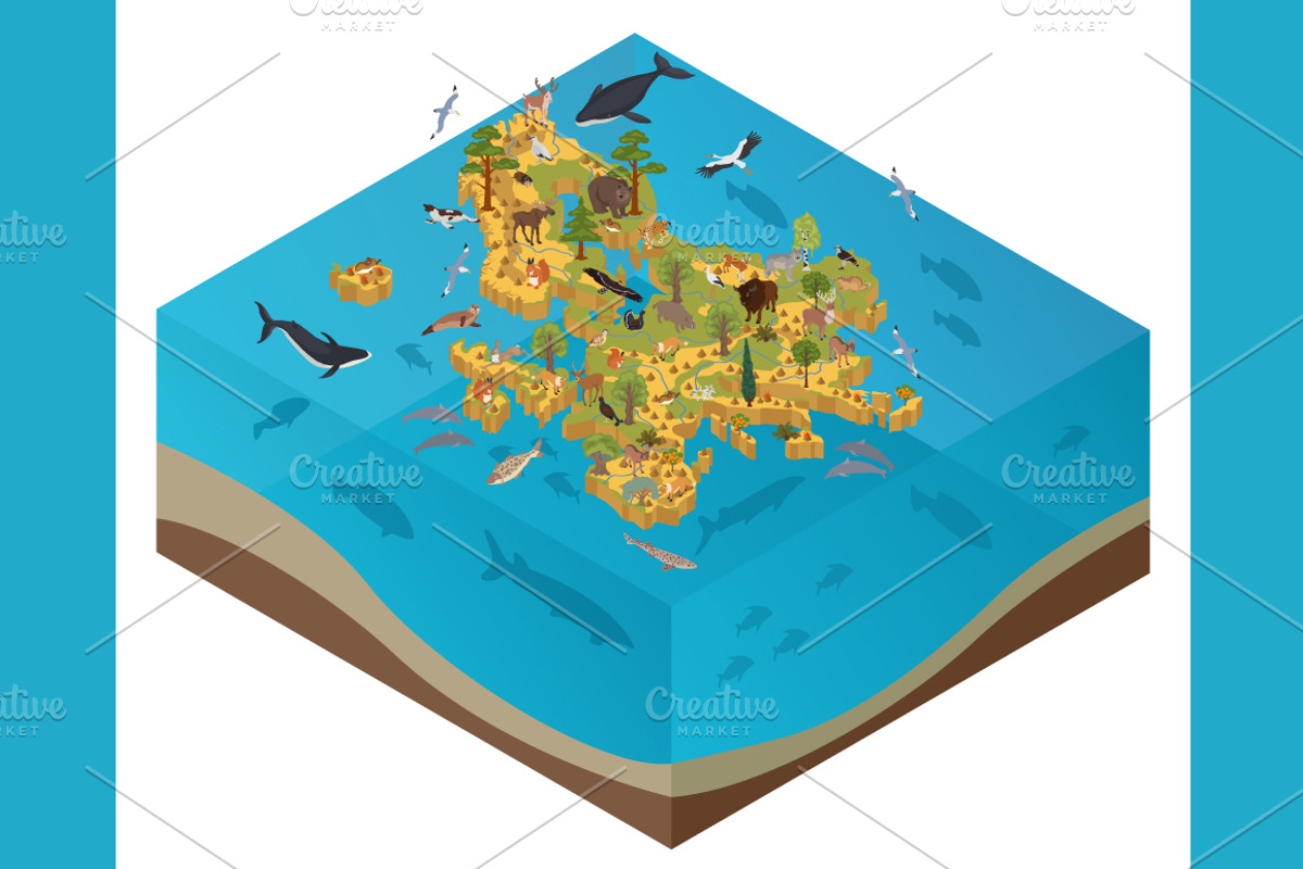 Europe isometric flora & fauna map, an Animal Illustration by pet design shop (Photo 4 of 5)