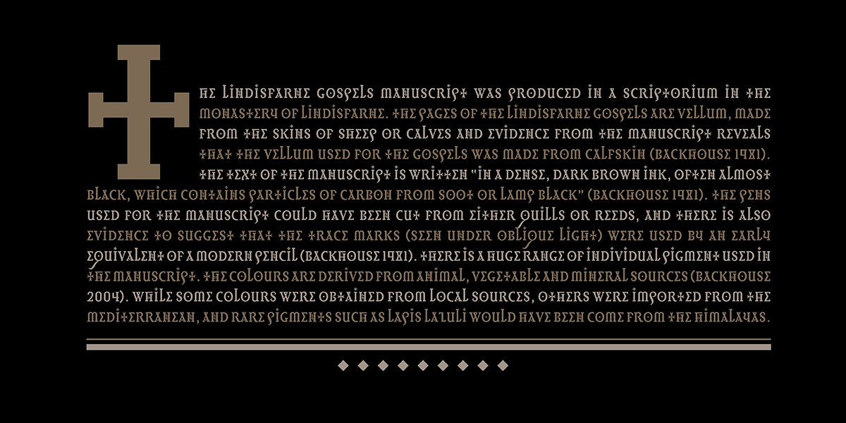 Infidel, a Serif Font by Barnbrook Fonts (Photo 5 of 5)