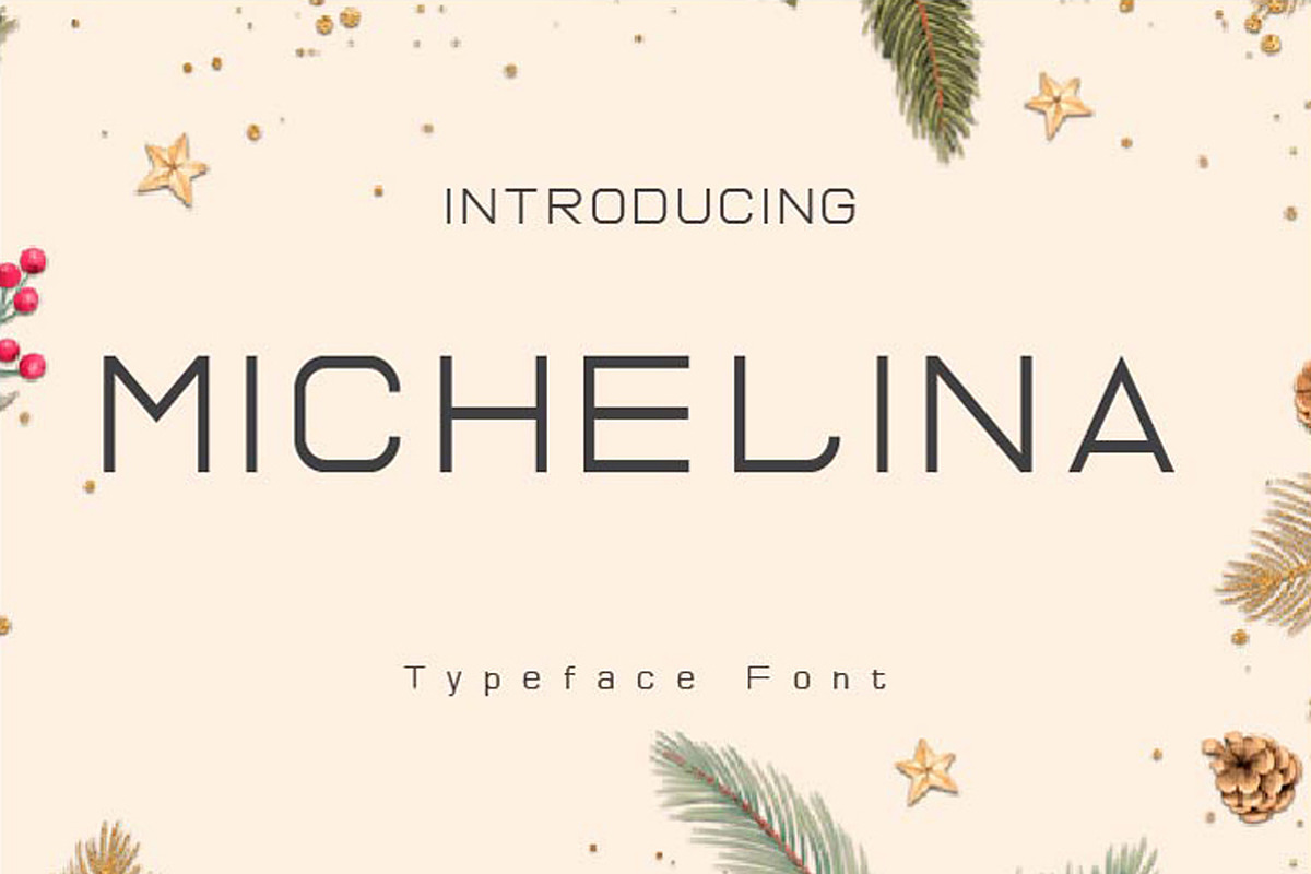 Michelina, a Sans Serif Font by edcreative (Photo 1 of 5)