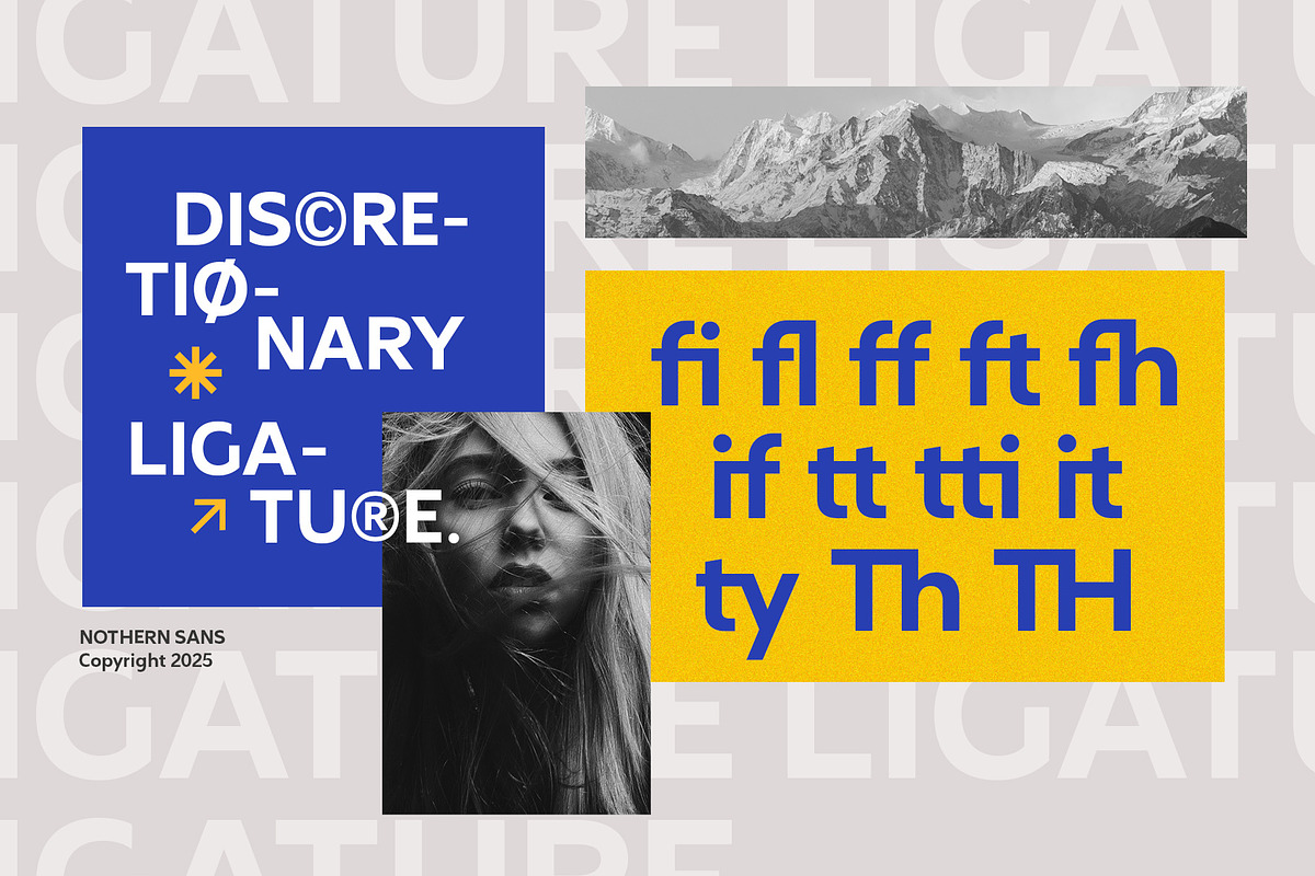 Northern Sans, a Sans Serif Font by Propertype (Photo 9 of 10)