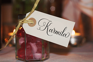 Ramolina Script