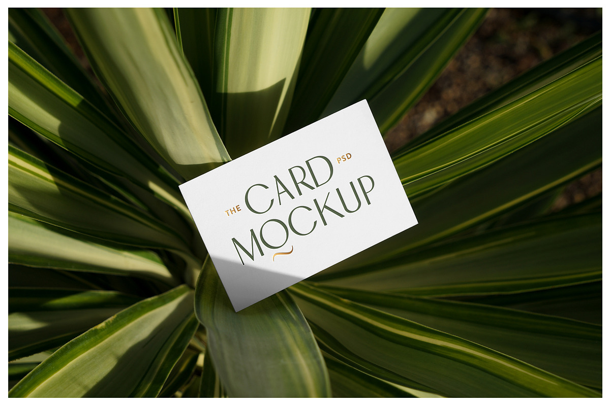 Business Card Mockups - Outdoor, an Advertising Mockup by Mr.Mockup™ (Photo 6 of 23)