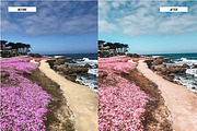 Cali Blogger Lightroom Presets, an Action Add-On by Best Lightroom Presets (Thumbnail 11 of 24)