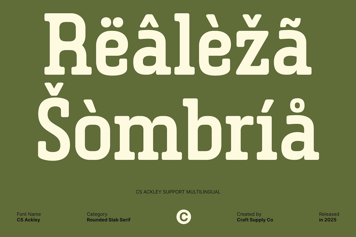 CS Ackley – Slab Serif Font, a Slab Serif Font by Craft Supply Co. (Photo 5 of 8)