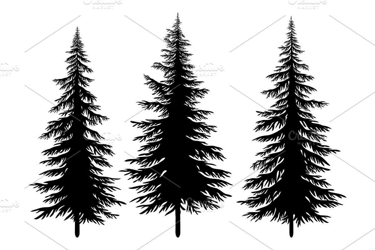 Set of Christmas Trees, an Object Graphic by Ok-sana